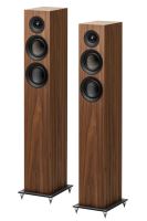 Pro-Ject Speaker Box 10 E Carbon - 2-pásmová podlahová reprosoustava - walnut